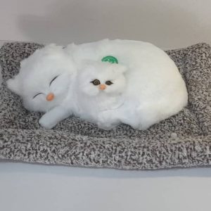 گربه خوابیده موزیکال کد ۵۲۲۲