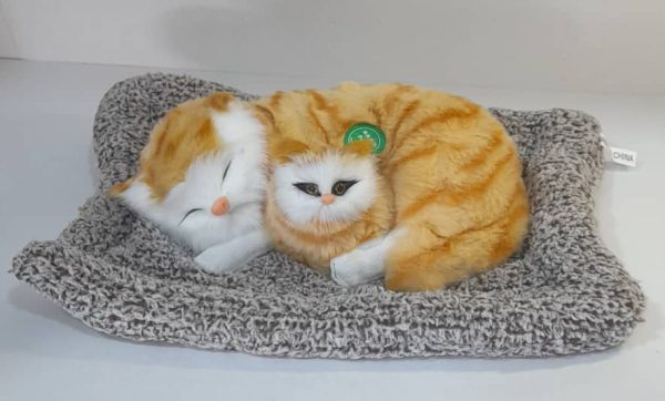 گربه خوابیده موزیکال کد ۵۲۲۲