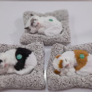 بچه گربه خواب موزیکال کد ۵۱۶۰